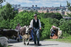 Skansen Open-Air Museum