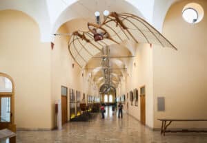 Flying machine of Leonardo da Vinci
