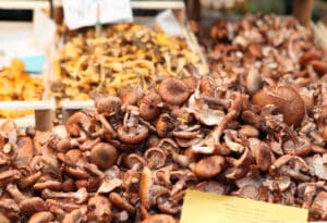 Mushrooms at the Rialto market