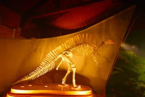 Ouranosaurus nigeriensis.