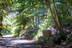 An entrance road going to Haleakala National Park, Hawaii. Maui, HI