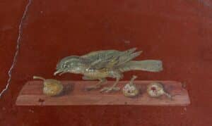 Delicate Oplontis fresco from Villa Poppaea.