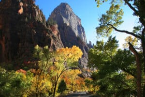 Zion National Park, Utah, USA