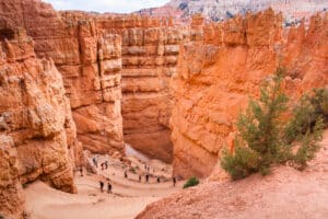 nside Bryce Canyon, at the end of the Navajos Loop trail, a winding serpentine course returns to the Rim Trail
