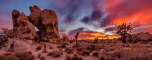 Joshua Tree National Park of California