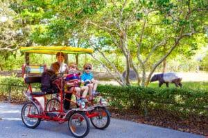 Miami zoo, Florida.