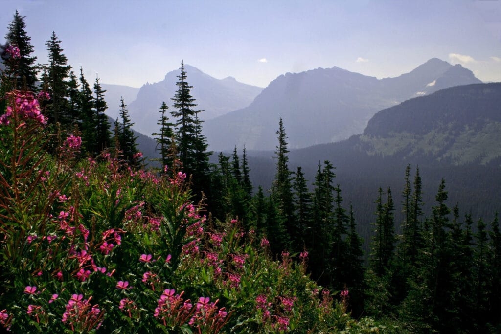 Glacier National Park