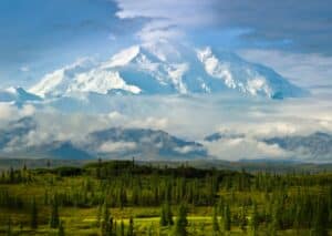 View of Mt McKinley in Denali National Park during summer